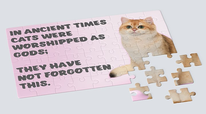 A cat puzzle with quote "In ancient times cats were worshipped as gods they have not forgotten this"