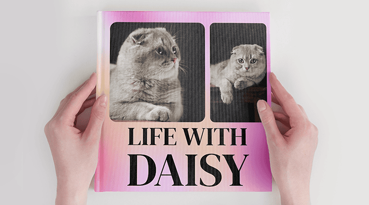 Cat photobook with quote life with daisy