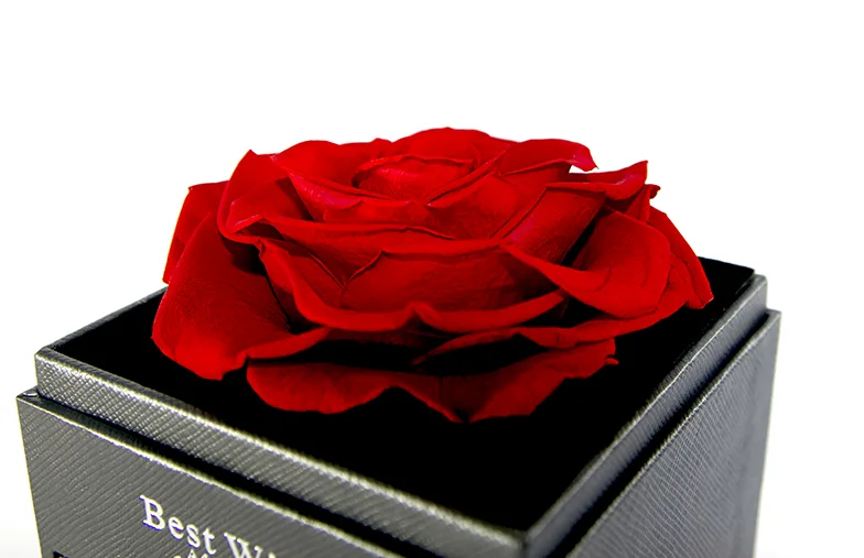 Eternal Rose in Square Box with Drawer