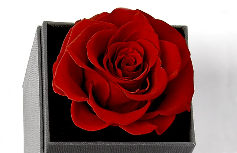 Eternal Rose in Square Box with Drawer