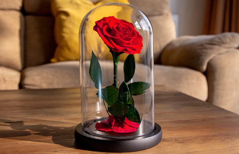 Eternal Roses|Eternal Roses|single-flower rose box|7 flowers roses box|single-flower rose drawer|single-rose in glass dome|||||