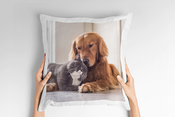 Personalised Cushion Covers|Personalised Premium Cushion|Personalised Premium Cushion|Personalised Premium Cushion|Personalised Premium Cushion||||||